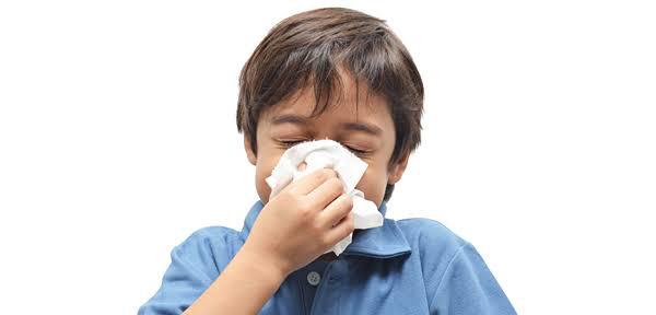 Acumula SLP 226 casos de influenza.