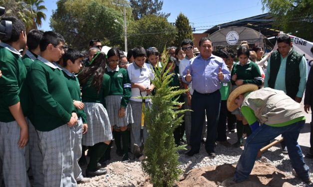 Apoyan en Soledad campaña de concientización sobre el medio ambiente.