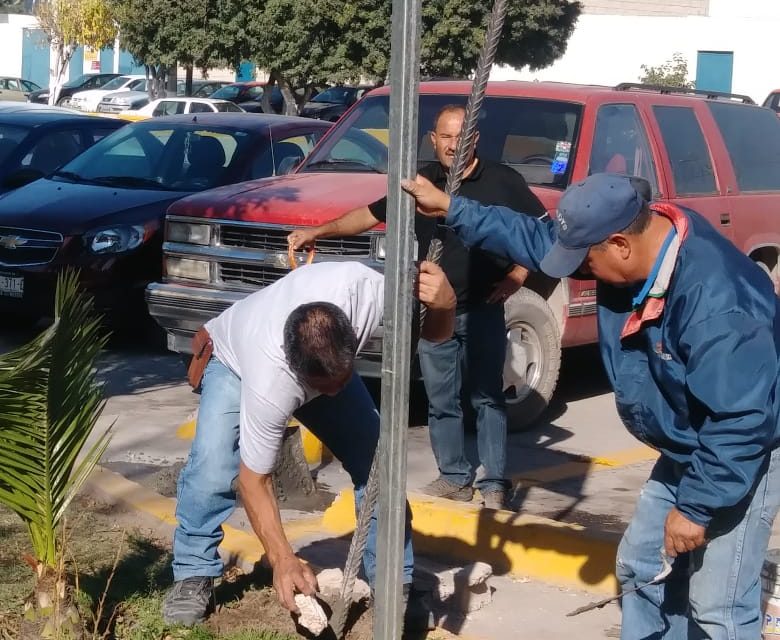 Prepara municipio soledense panteones para visitas durante Semana Santa.