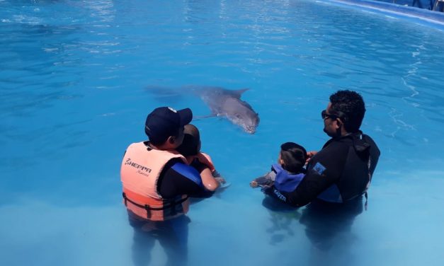 Impulsa DIF Soledad sesiones de Delfinoterapia.