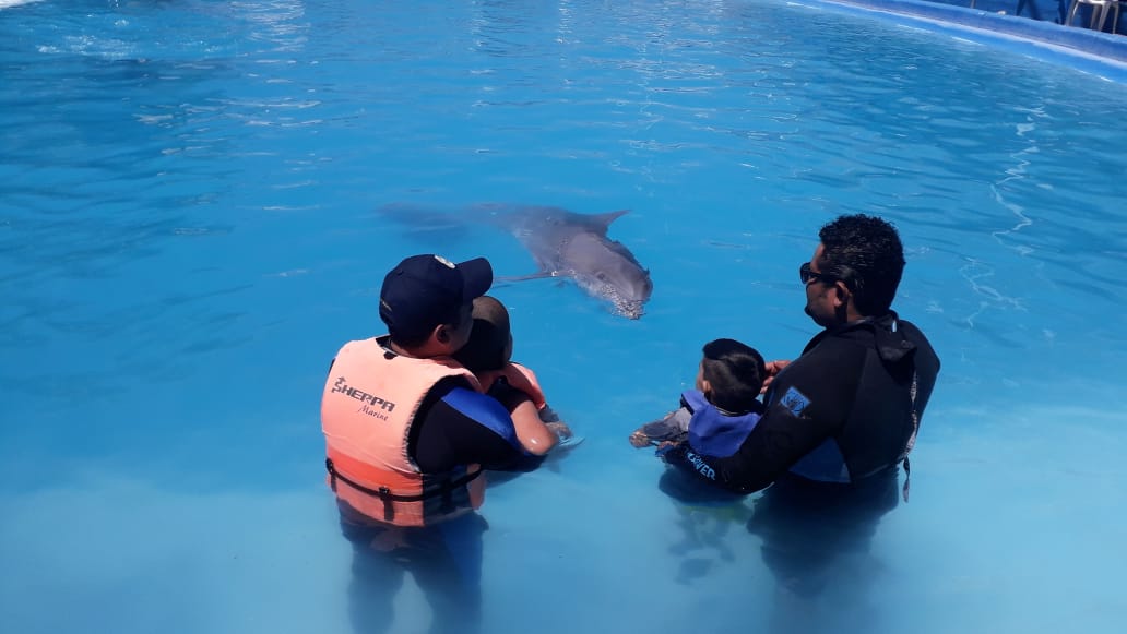 Impulsa DIF Soledad sesiones de Delfinoterapia.