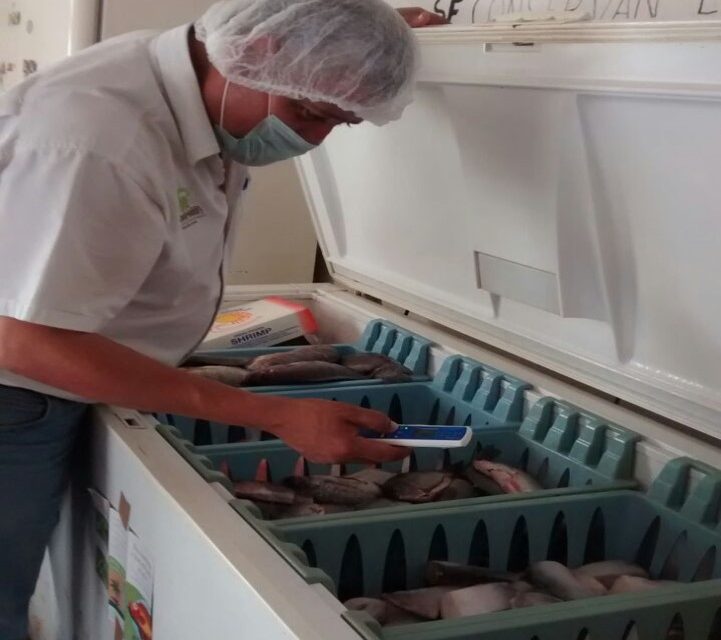 Destruye la COEPRIS más de 8 kilogramos de producto del mar.
