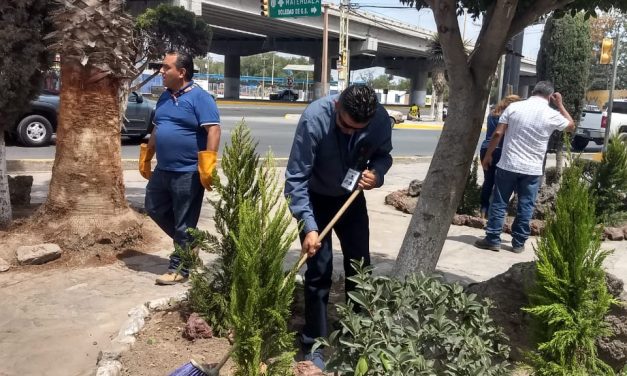 Trabaja ayuntamiento de Soledad en recuperar espacios públicos.