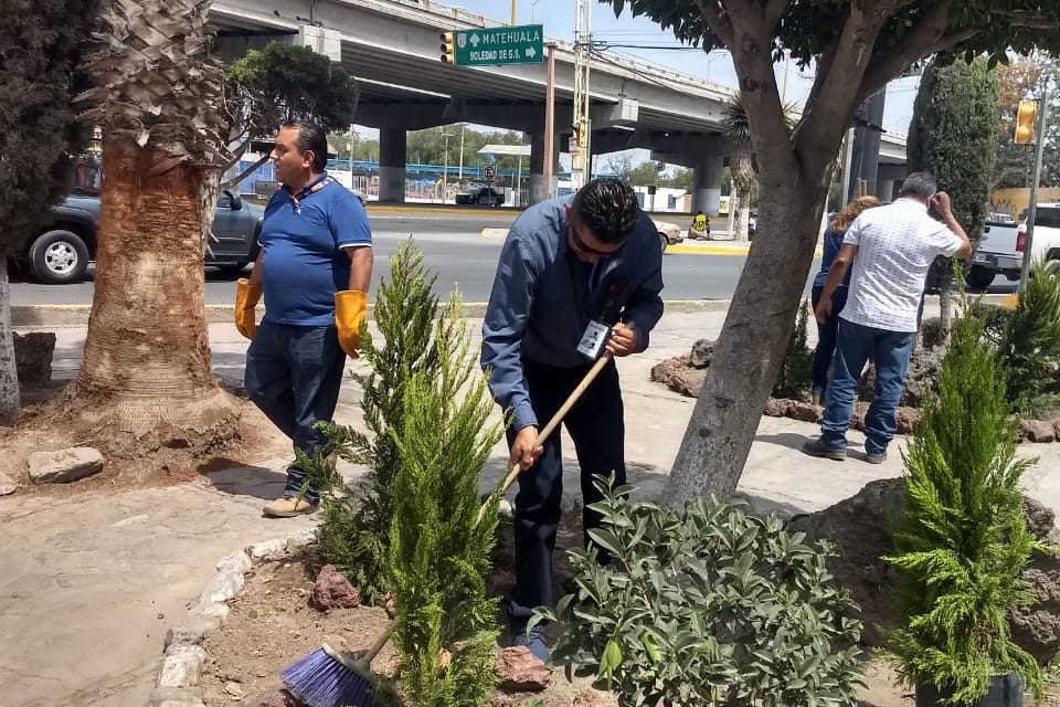 Trabaja ayuntamiento de Soledad en recuperar espacios públicos.