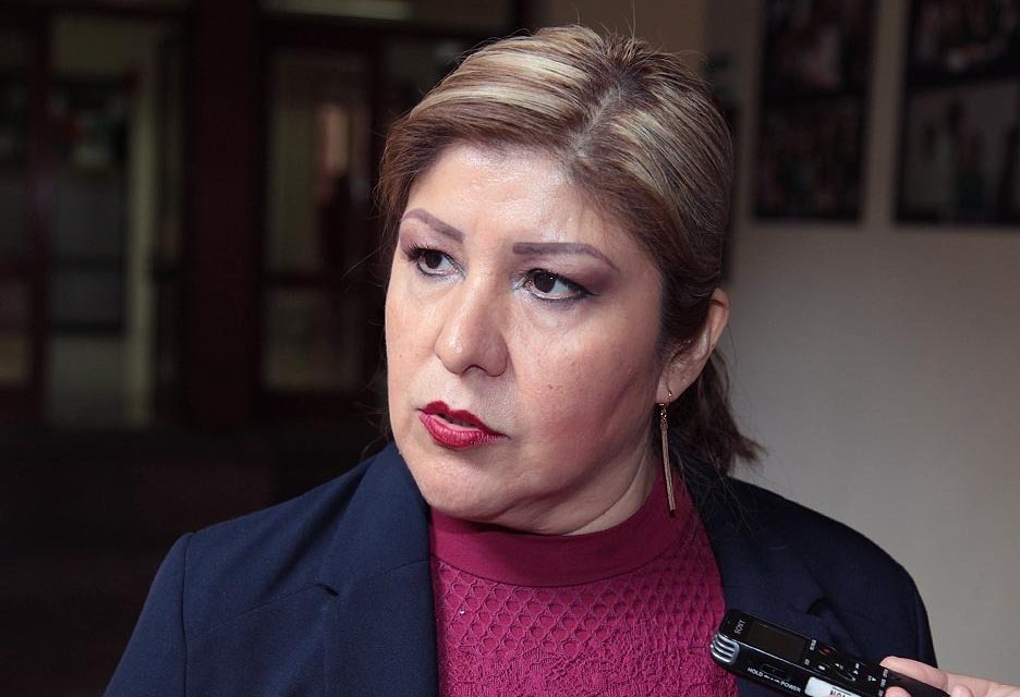 Falta de médicos en zonas rurales es por la inseguridad, afirma diputada.