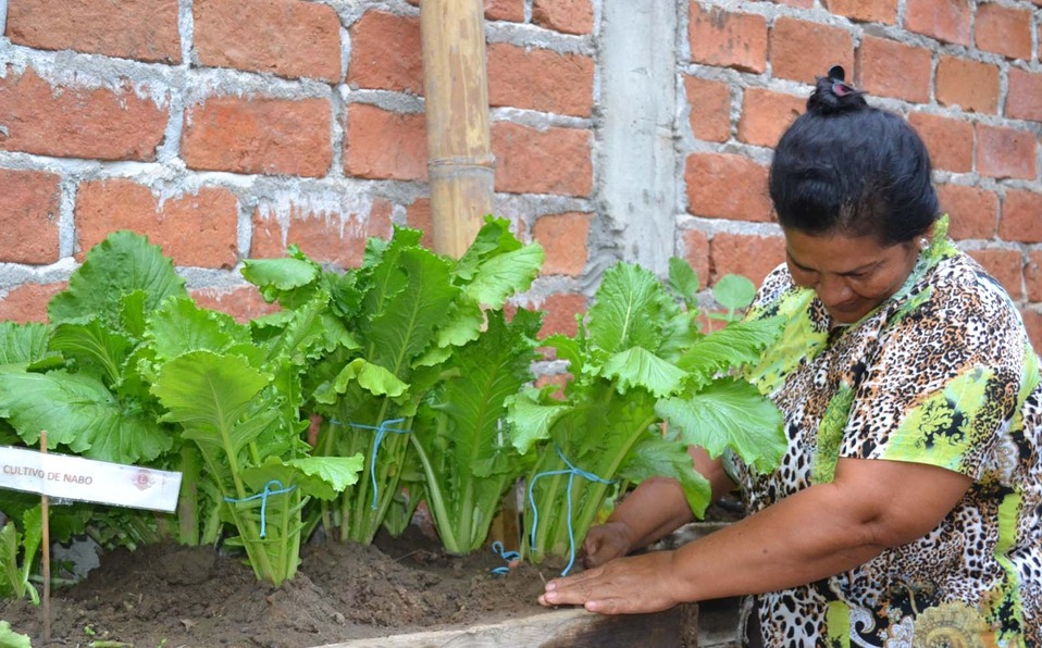 Sanidad en SLP, atractivo para inversiones agrícolas.