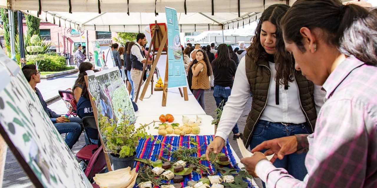 Atractivos proyectos sociales y de agronegocios se presentaron en la octava Expo Jóvenes Emprendedores.