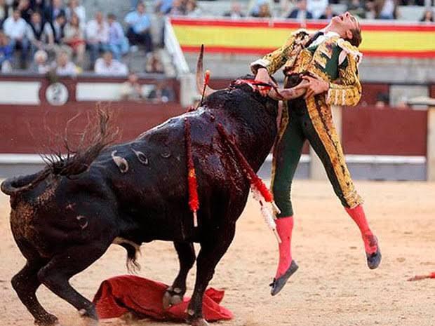 Menores de edad no entrarían a corridas de toros en SLP