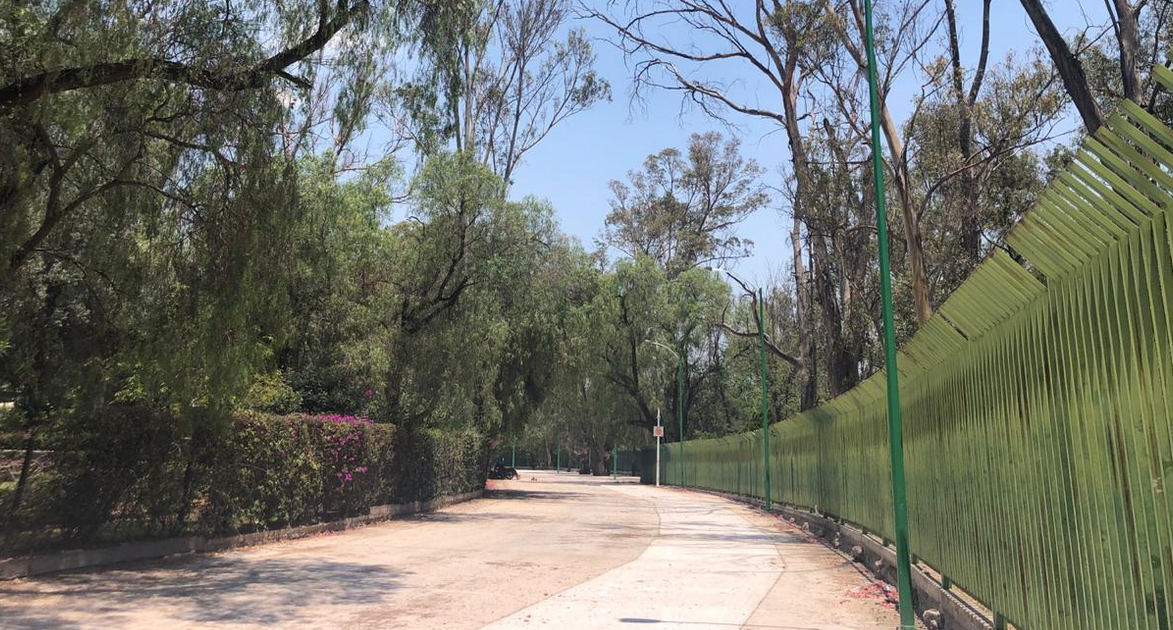 Por concluir rehabilitación de la calle Dr. Carlos Canseco