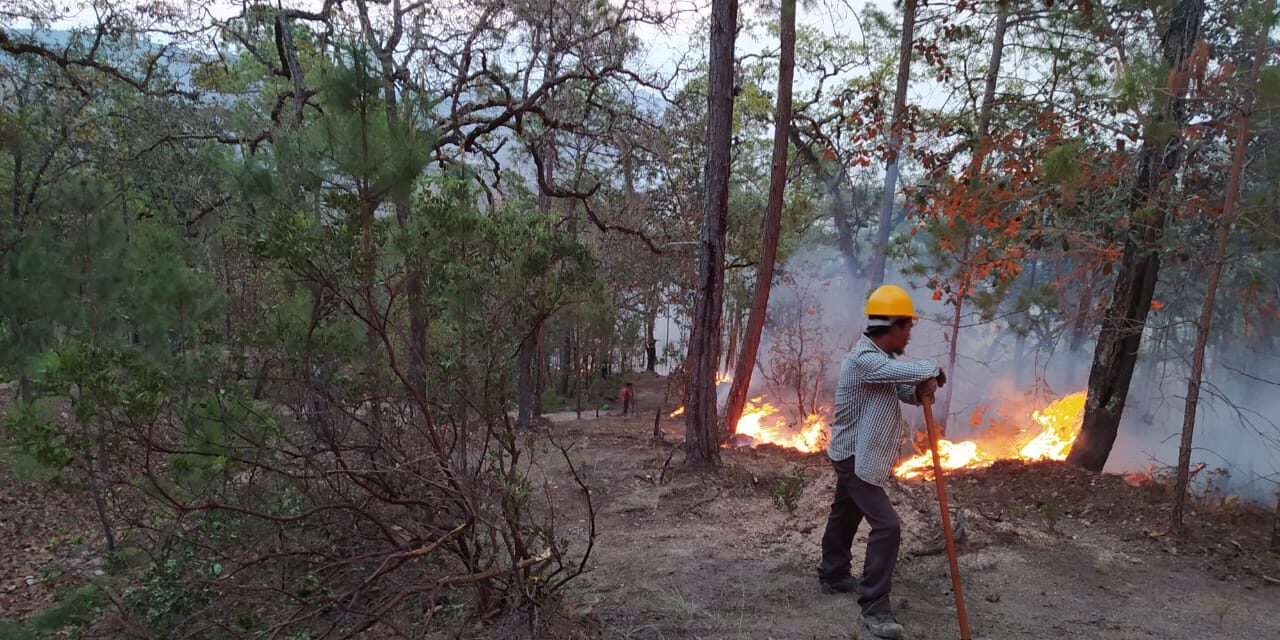 Incendio en Sierra de Bagres controlado a un 95%: Conafor.