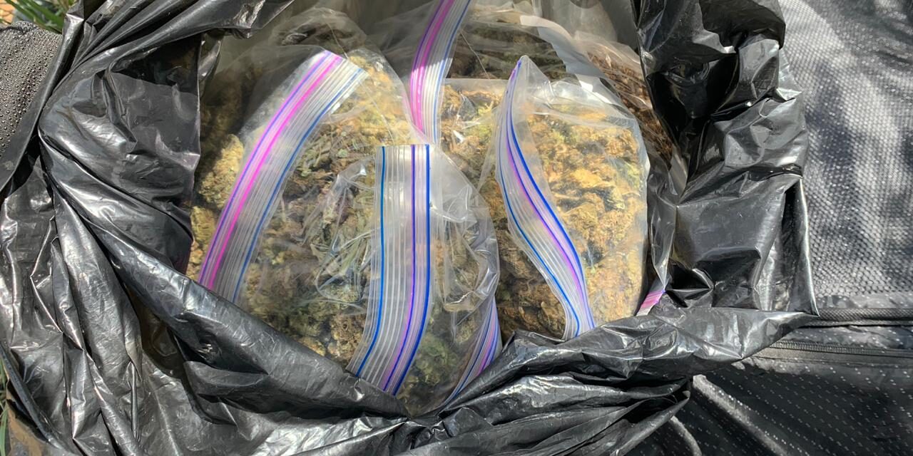 Aseguran armas y droga en Salinas de Hidalgo