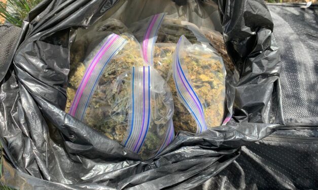 Aseguran armas y droga en Salinas de Hidalgo