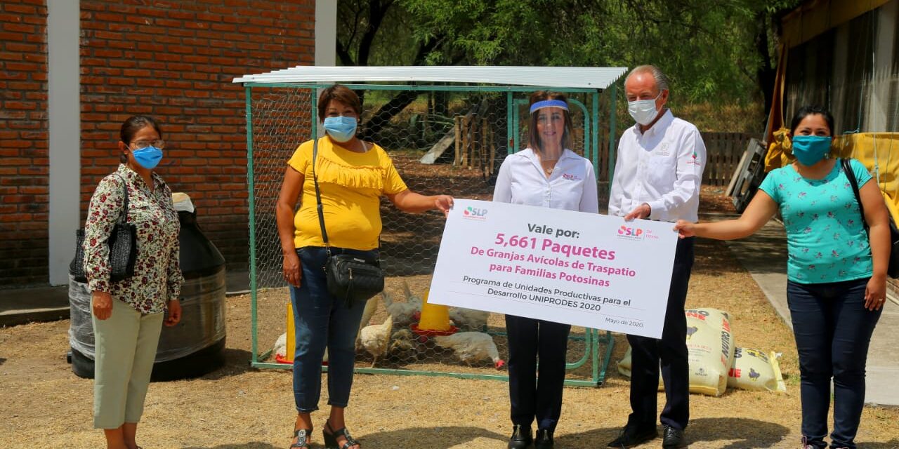 Benefician Granjas Avícolas de Traspatio a miles de familias potosinas: DIF