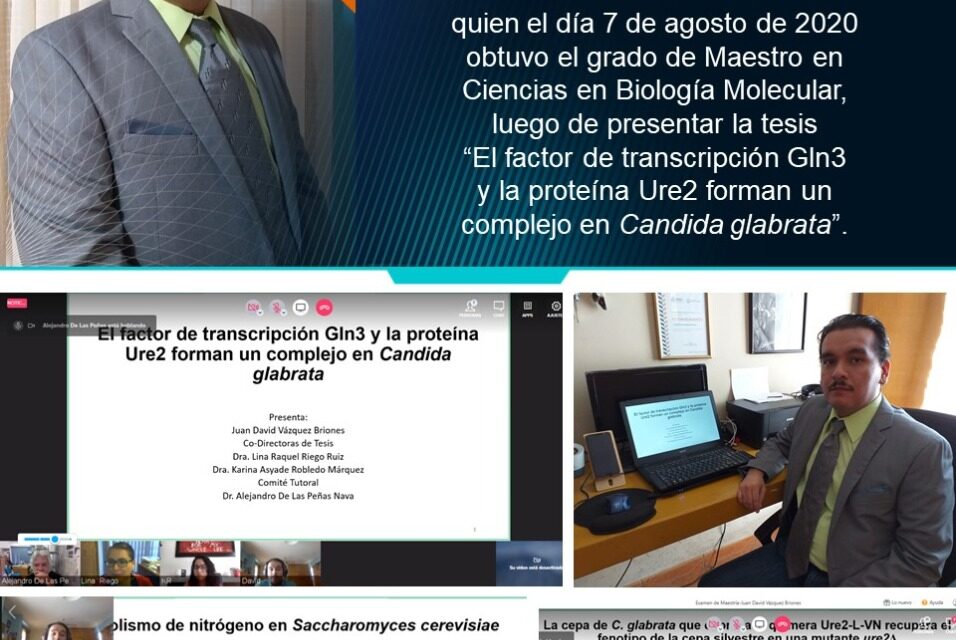 Se han graduado mediante protocolo virtual, 29 científicos en el IPICYT