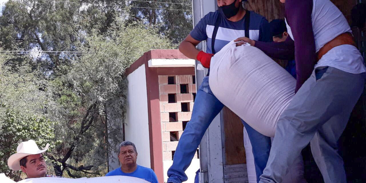 Ayuntamiento de Soledad distribuye semilla de avena forrajera a productores locales