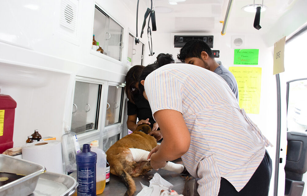 Alcanza programa “Ambudog”, las 5 mil atenciones.