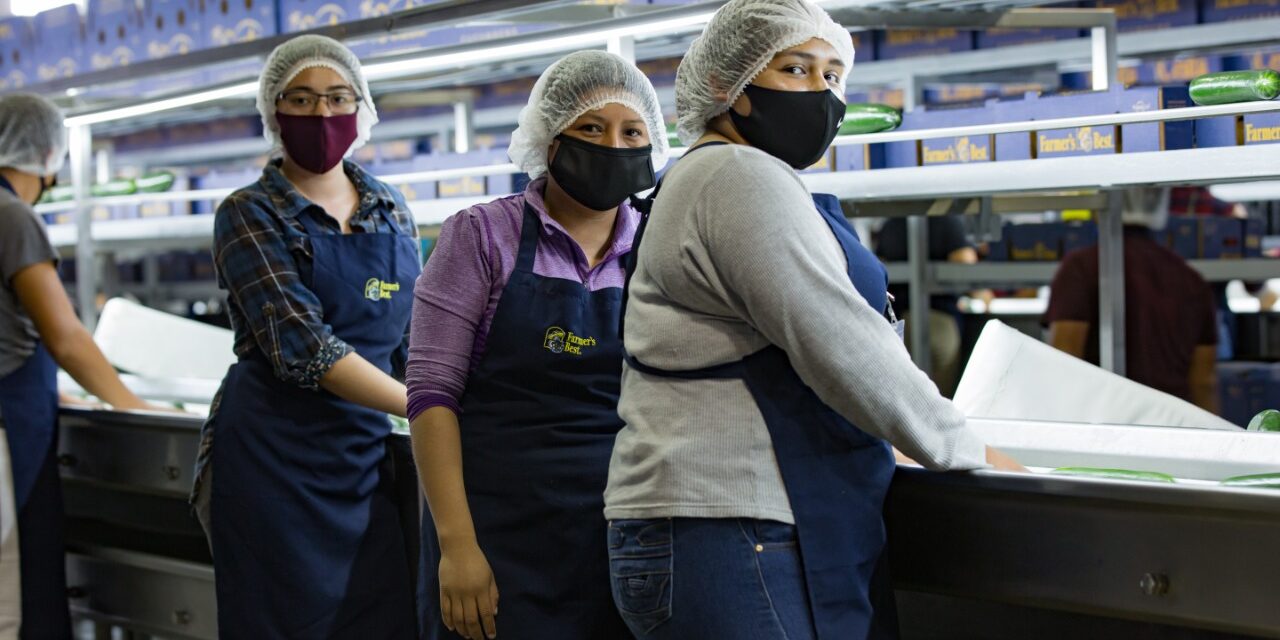 Incrementa SLP generación de empleos al segundo trimestre del 2023: INEGI
